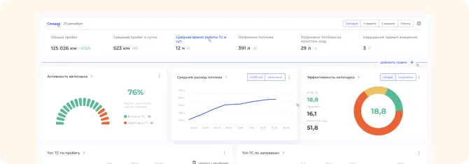 Детальный отчёт по пробегу, сливам и заправкам по каждому объекту